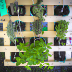 how do i make a hanging herb planter