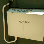 how do i keep ants out of my electrical box