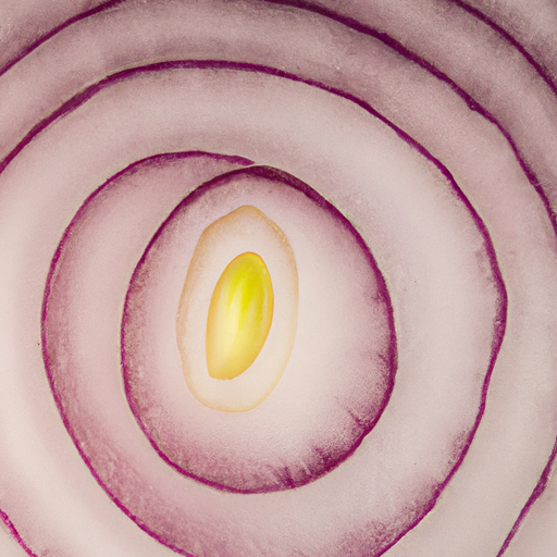 where does cell division occur in onions